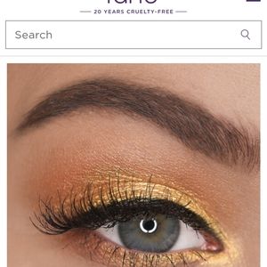 Tarte Chrome Paint Shadow Pot Park Ave. Princess